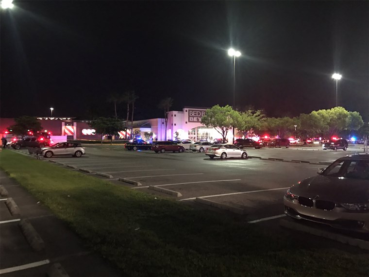 Two killed Florida shopping center